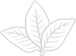 Leaf icon
